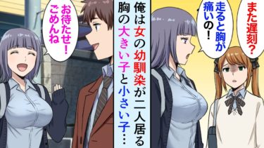 【セカイノフシギ】【漫画】俺には幼馴染が2人いる「どっちと付き合うの？」胸の大きい子と小さい子が同時に告白してきたが…【マンガ動画】