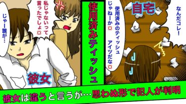 【まんガメ】🔴同棲してる家に帰ったら使用済みティッシュが散乱してた→俺「浮気してるだろ！」彼女「私じゃない！」→本当にシロだったが思わぬ形で真相が！【スカッとする話】【マンガ動画】