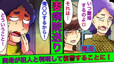 【まんガメ】【実話】母「アンタいつ息子と離婚するの？」嫁「もうダメ…」→実母が原因で嫁が病院送りに！ブチ切れた俺が復讐を決意した結果…【スカッとする話】【感動する話】