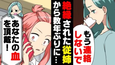 【エトラちゃん】【漫画】絶縁中の従姉から突然「あなたの血がいる！」と意味不明の連絡が。全ての謎の解明のため飛行機で飛んだら「やっぱりいらなかったわ」と…