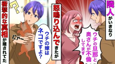 【まんガメ】【漫画】隣人「ウチの旦那と奥さんが不倫してます。慰謝料請求します」俺「俺、独身ですよ？」→衝撃の真相だった【スカッとする話】【マンガ動画】