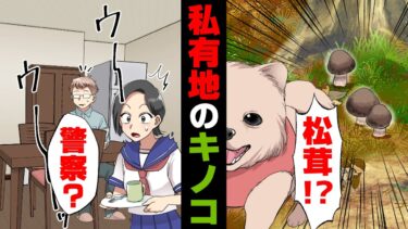 【エトラちゃん】【漫画】「け、警察！？」私有地の林に松茸が生えていると騒動になった我が家。しかし数日後、思いもよらない事件に発展してしまい…→「車がスクラップに…」”松茸”を採ってしまった結果…