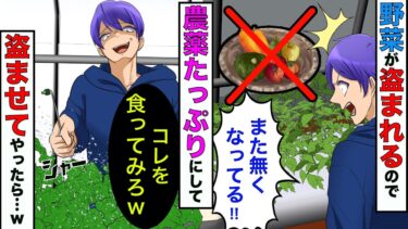 【まんガメ】【漫画】嫁の家庭菜園の野菜が盗まれるので、猛毒の農薬をたっぷりと与えて野菜を育ててやったら…www【スカッとする話】【マンガ動画】