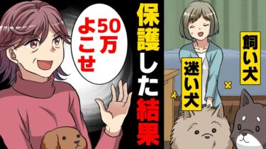 【エトラちゃん】【漫画】道端にいた弱った老犬を保護し飼い主に返しに行ったら「50万で譲ってあげるw」と意味不明なことを言われ…→「買います」その交渉に身を乗り出したのは..