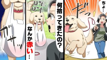 【エトラちゃん】【漫画】散歩中、いつもおとなしい飼い犬が突然逃げ出してしまった！諦めて一旦家に帰ると、そこには謎の袋を咥えて先に帰宅している飼い犬の姿があり…？「何、それ…」