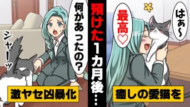 【エトラちゃん】【漫画】「な、何で…！？」出張でペットの猫と1年離れ離れになる事に。しかし、兄家族に預けて１ヶ月後愛猫の様子が…！？→「ペットを理由に仕事を…」出張に行ってしまった結果…